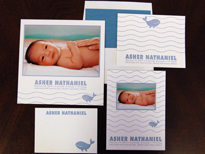 Baby Beluga Note Card